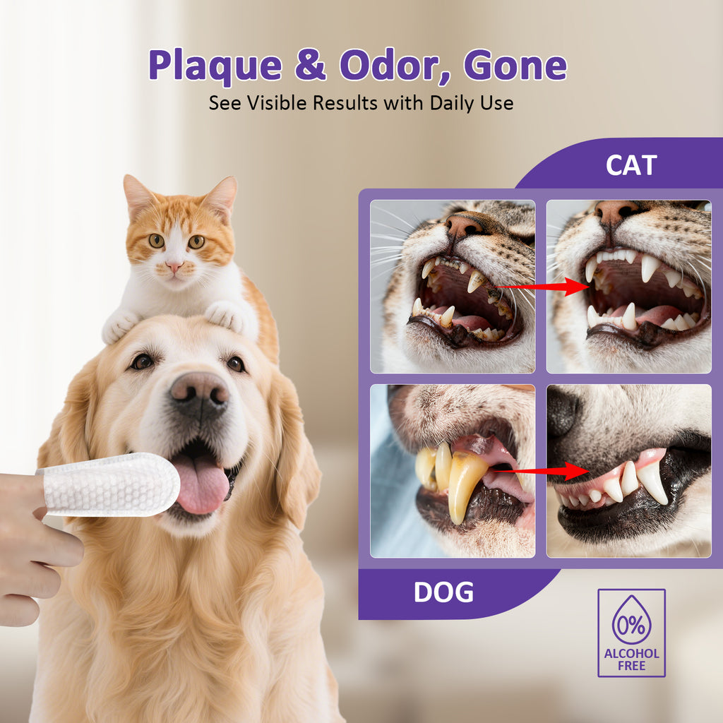 PawBubble Pet Dental Finger Wipes,Teeth Cleaning Wipes For Dogs & Cats Daily Oral Care,50 Count